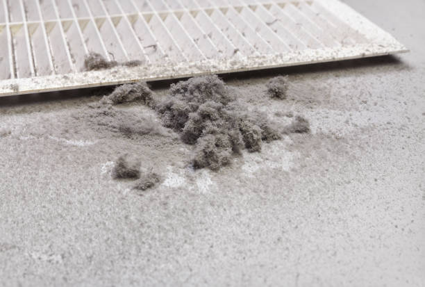 Best Professional Duct Cleaning Services  in Anderson, SC